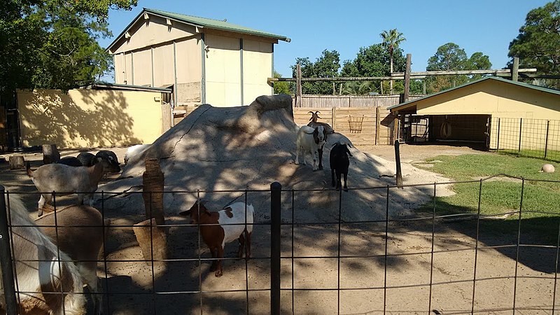 Go Wild at Alabama Gulf Coast Zoo