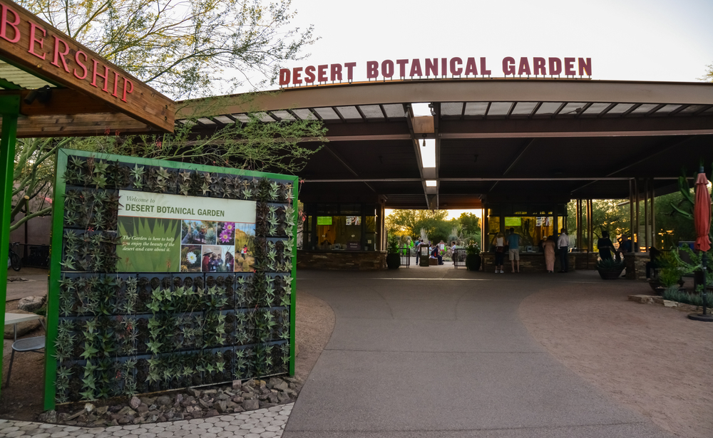 See Flora of the World in the Desert Botanical Gardens