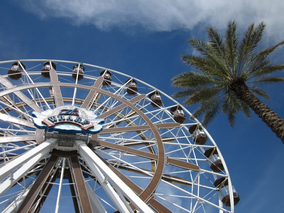 Ferris Wheel