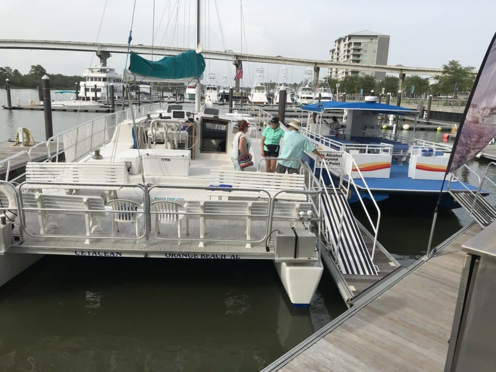 Pack Your Binoculars for an Orange Beach Dolphin Cruise