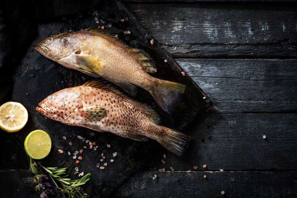 Louisiana Lagniappe