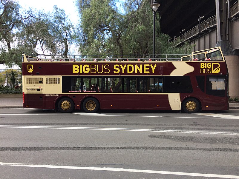 Go Sightseeing on a Big Bus Tour of Sydney