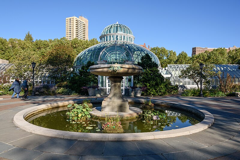 What to Do in Brooklyn