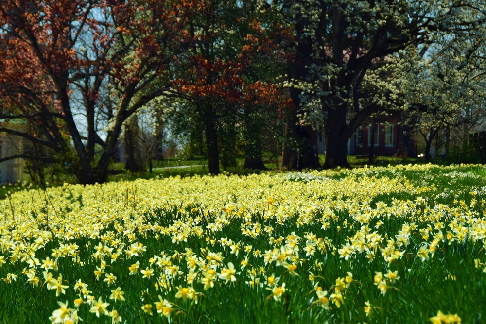 Shaw Nature Reserve