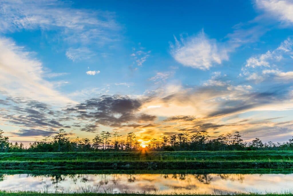 The sunset in The Everglades