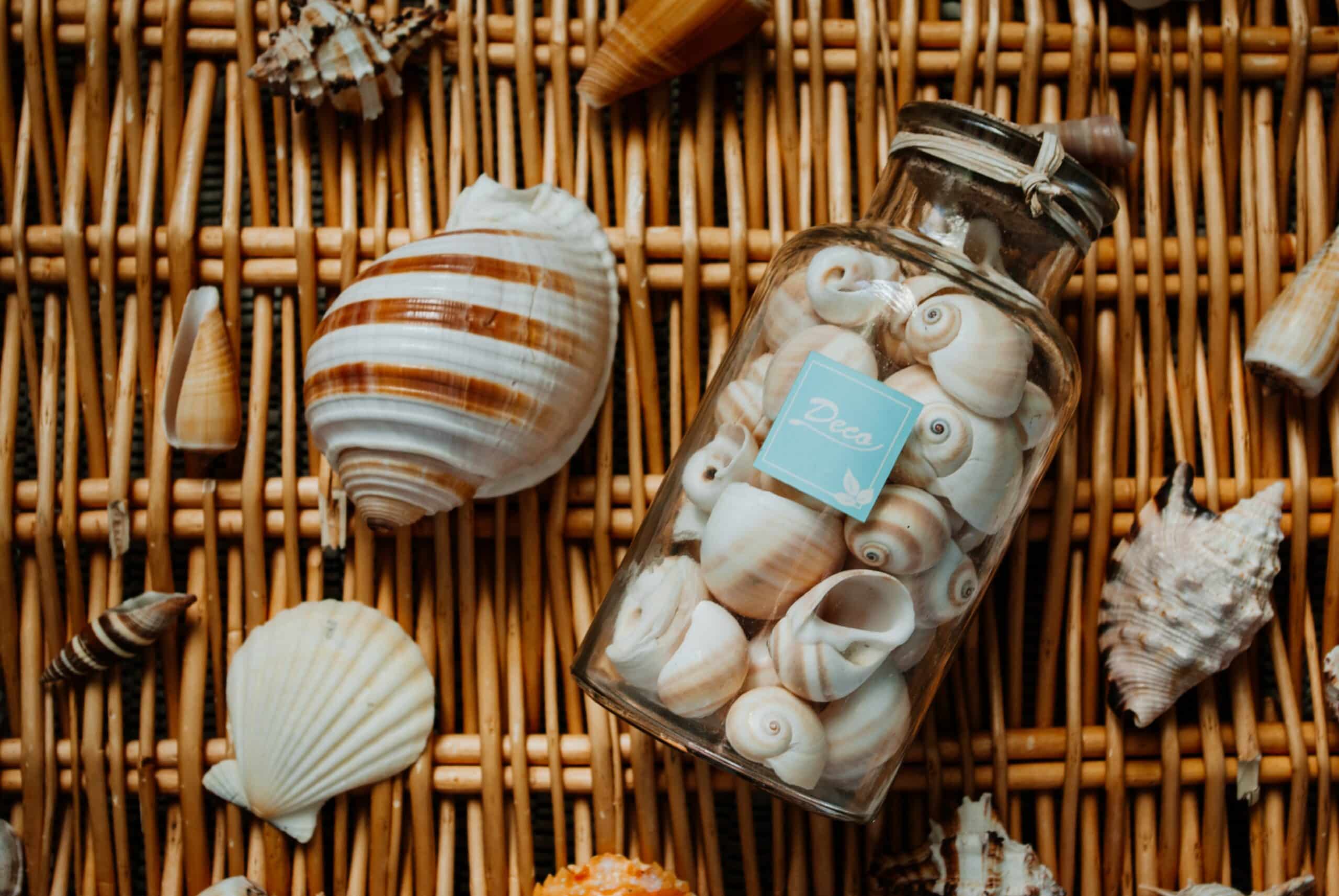 Different seashells on a wicker table and in a glass jar