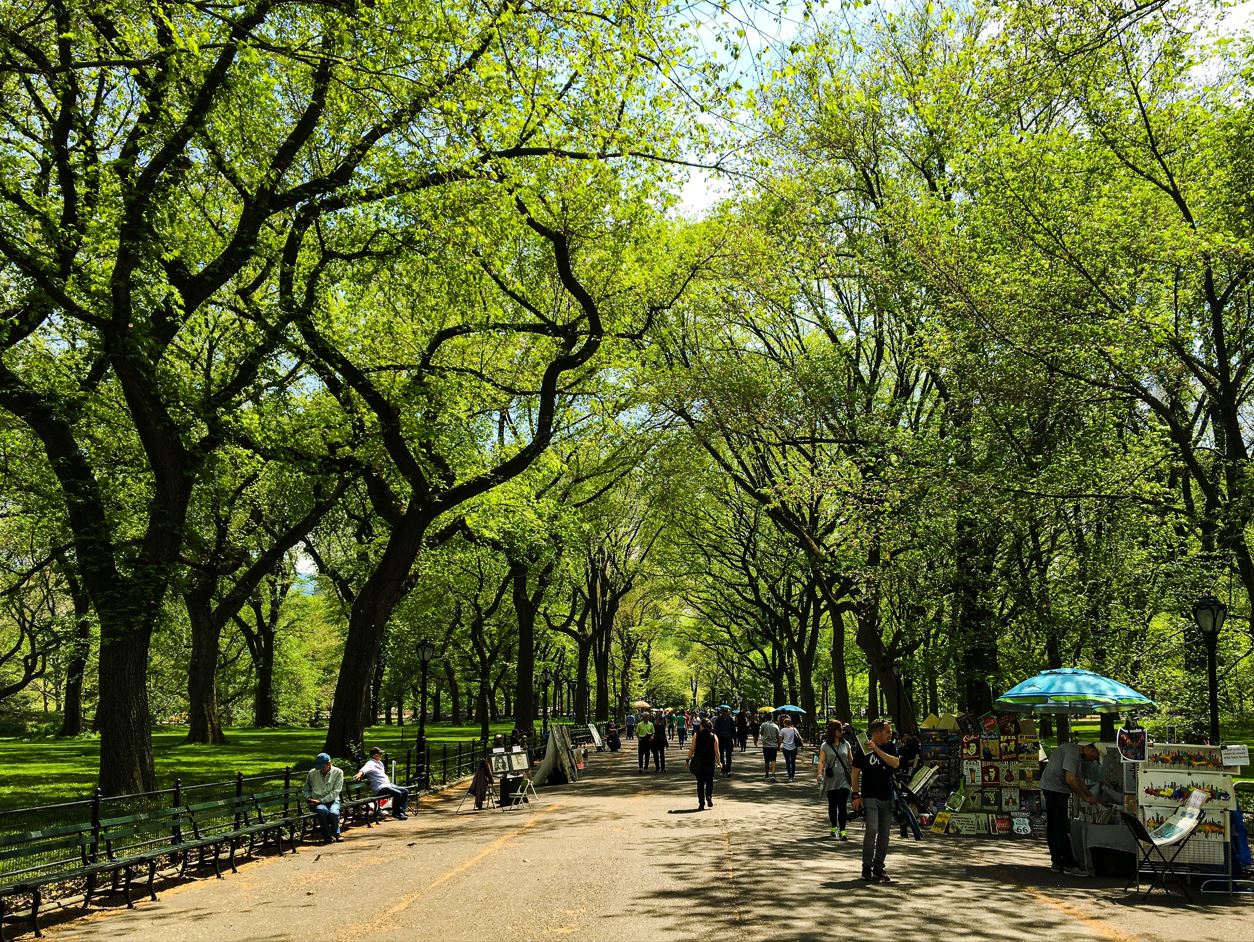 People strolling through a New York national park
