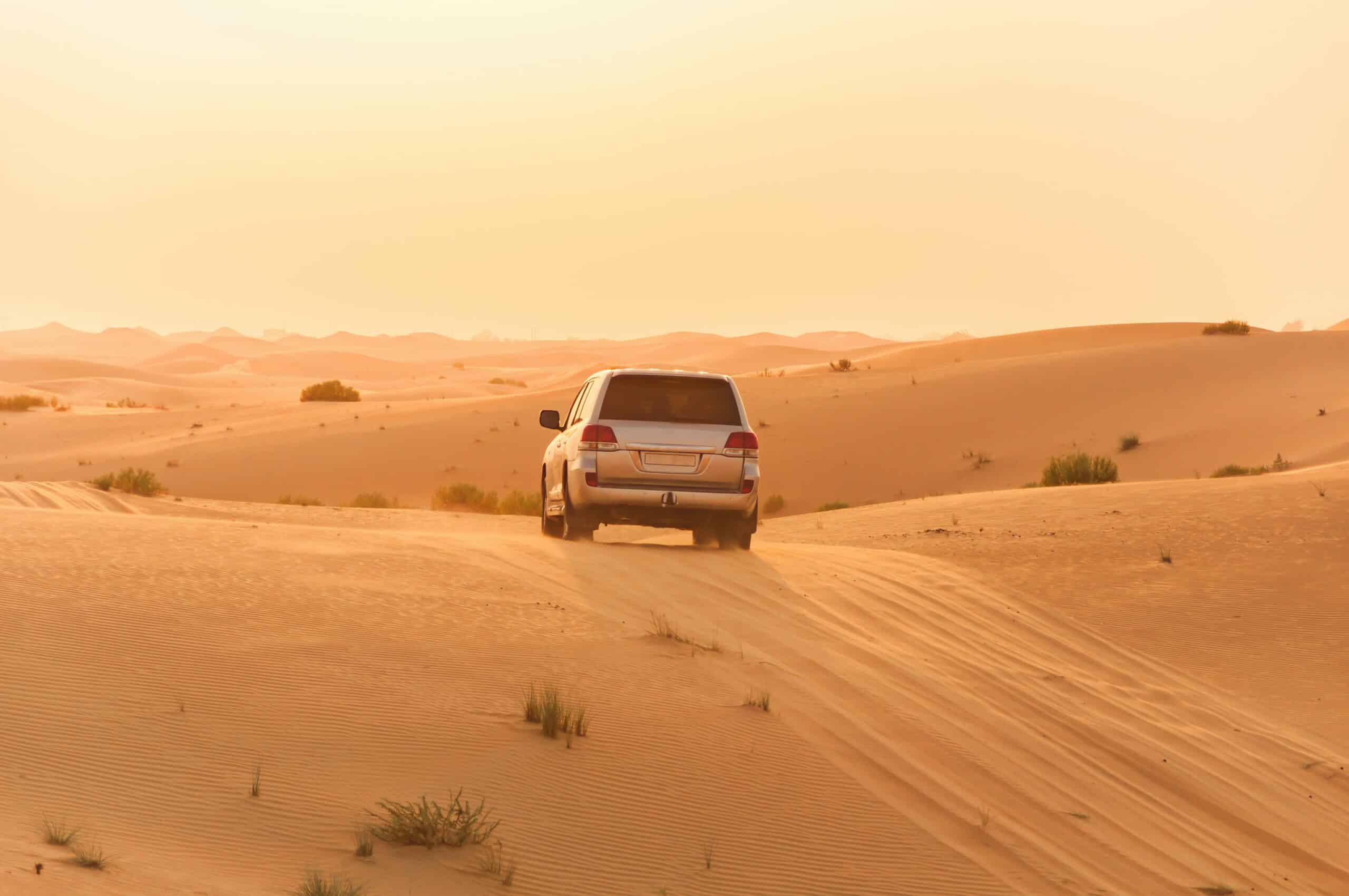 Desert tour Dubai