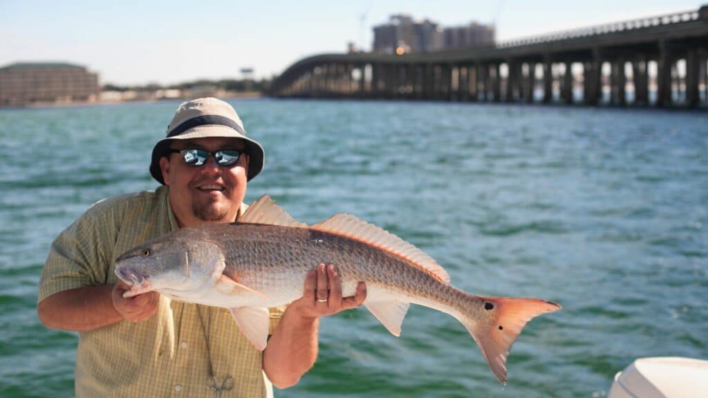 An image of a man holding a fish caught near Destin Histor & Fishing Museum.