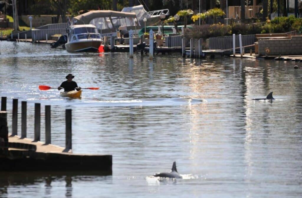 Some wine tours in Perth provide opportunities for paddleboarding or kayaking, but the activity can also be enjoyed in many lakefront properties such as this one in South Yunderup