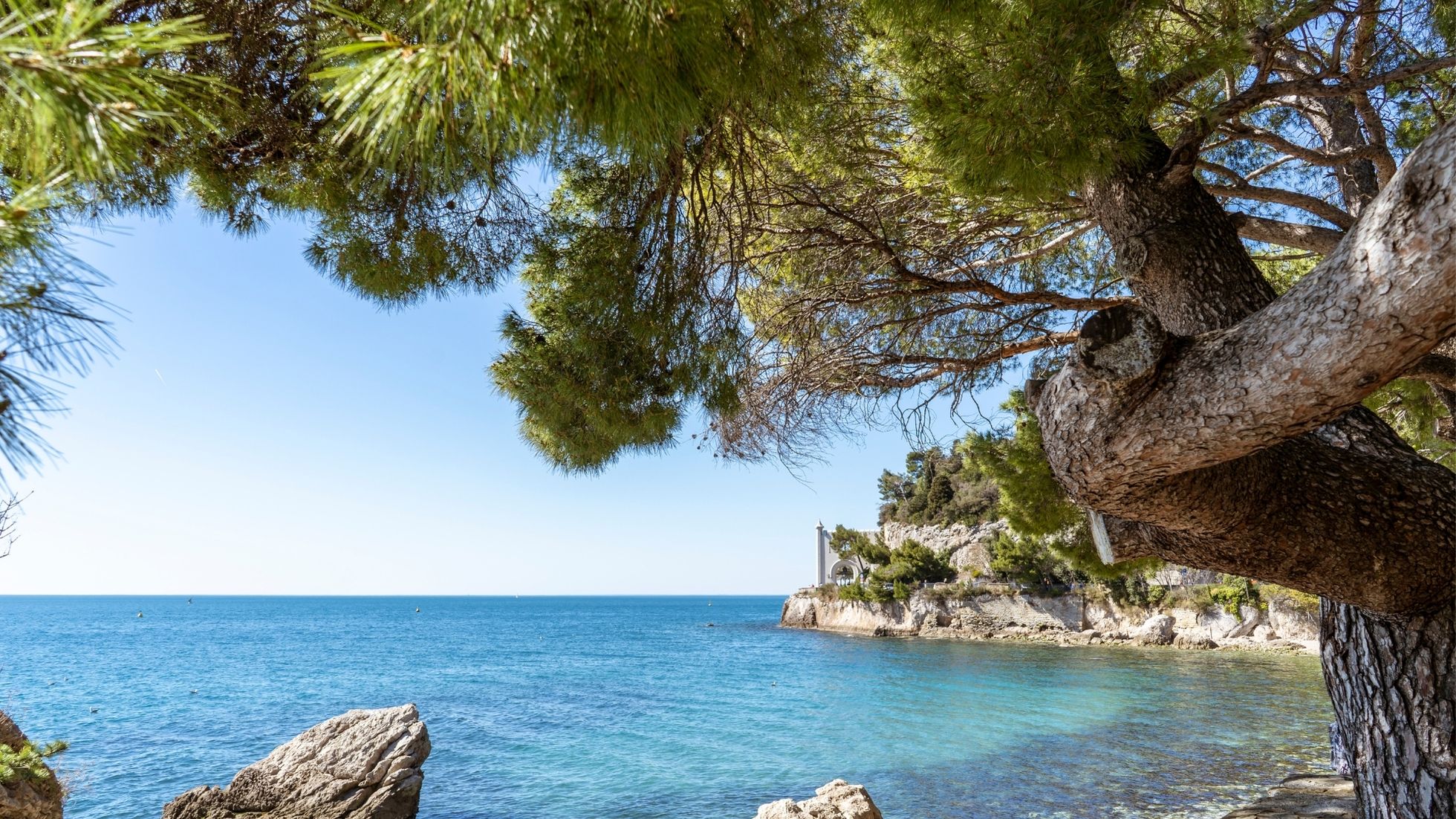 Image highlighting tranquil nature scenes near Miramar Beach stays.