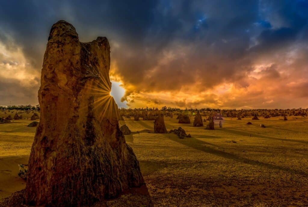There are endless opportunities for nature photography at The Pinnacles in Western Australia.