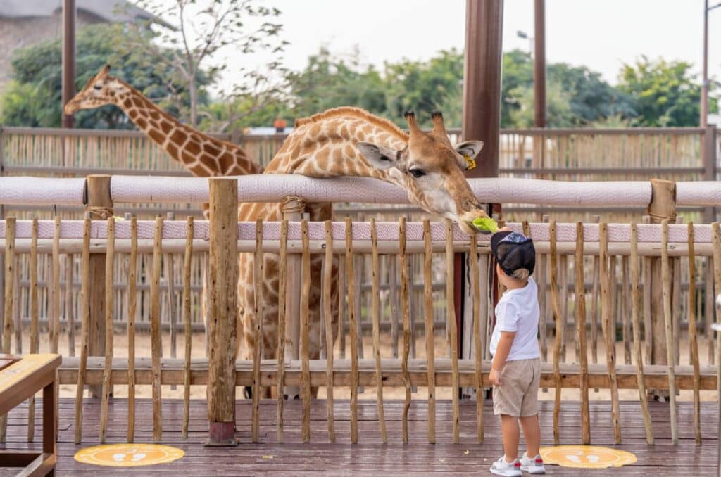 10 Family Activities in Perth + Family-Friendly Retreats