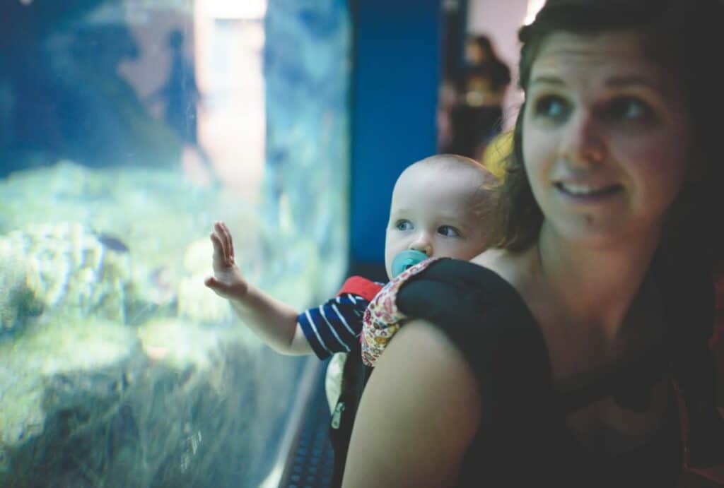 Adults and children alike will find themselves in awe at the Aquarium of Western Australia in Perth.