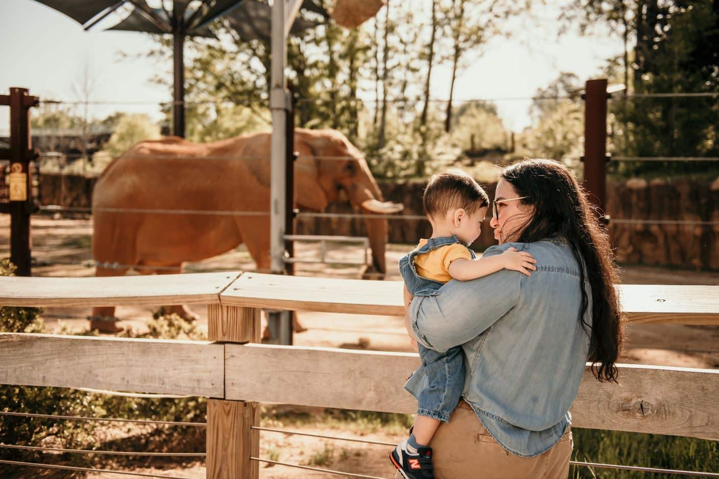visiting the zoo is one of many fun and educational family activities in Perth, WA