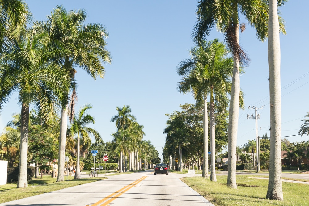McGregor Boulevard