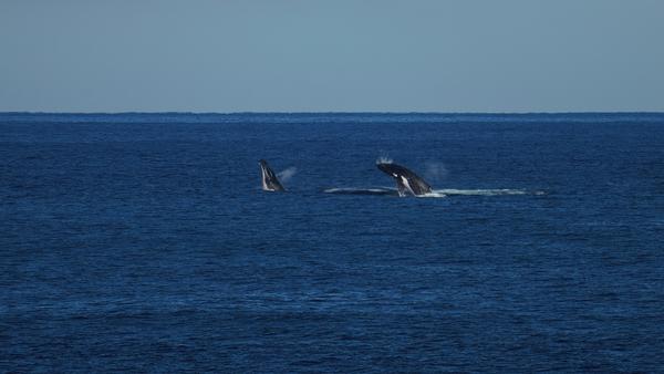 17 Best Things to Do in Perth