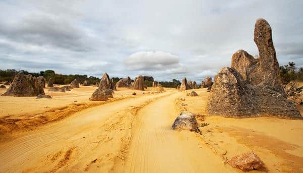 Stargaze in the Pinnacles Desert