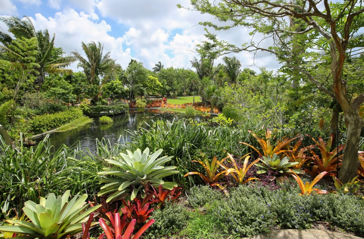 East Naples for Budget Travelers