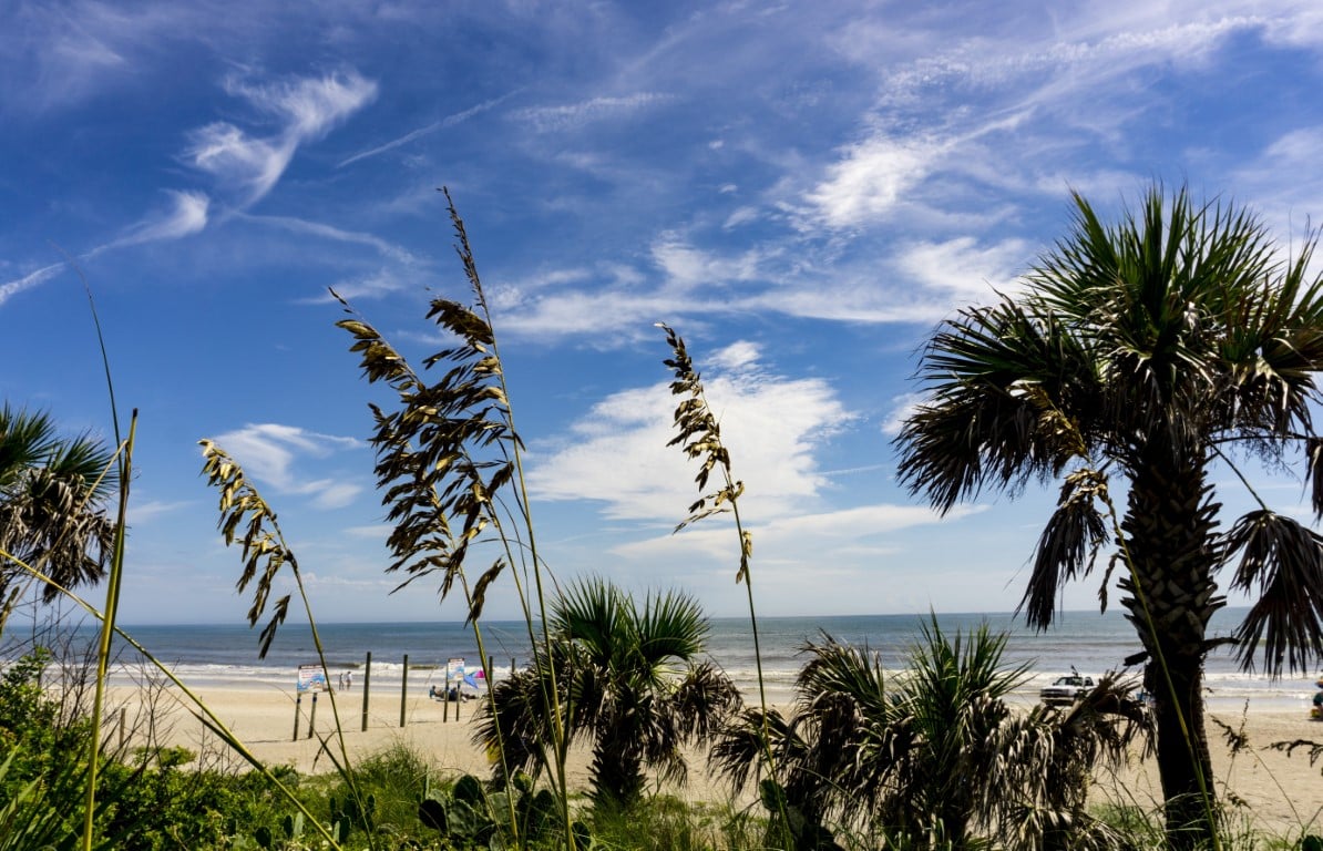 Ormond Beach for Nature Lovers