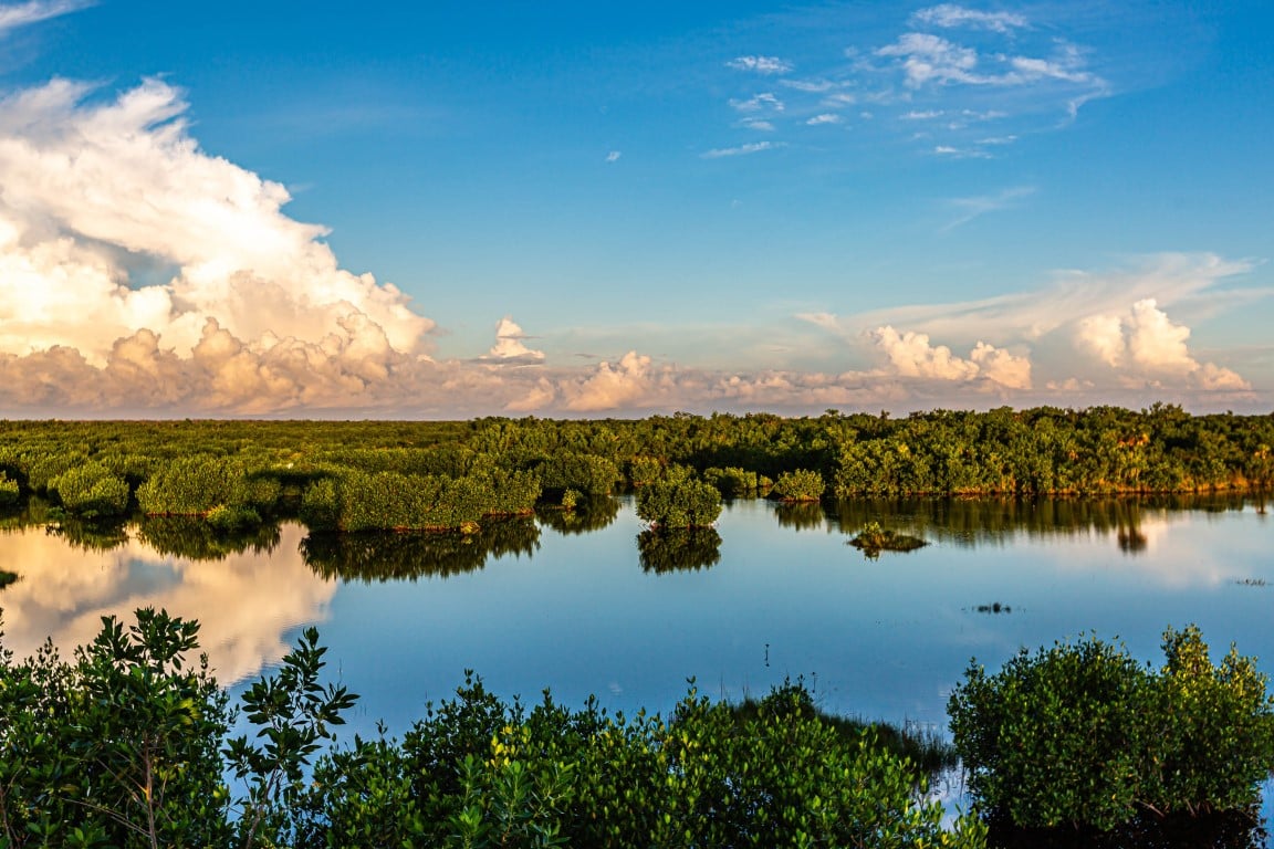 Explore Ten Thousand Islands