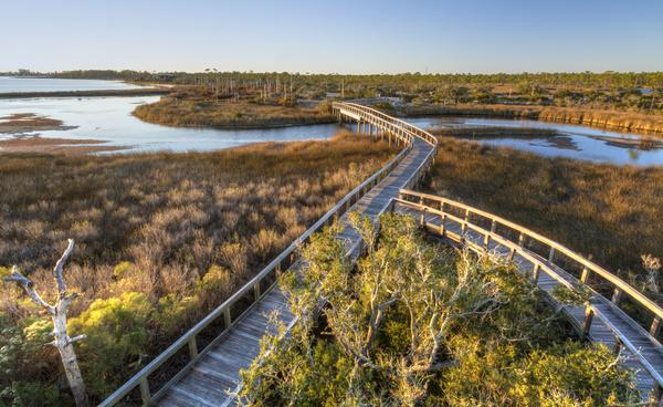 Perdido Key for Nature and Wildlife
