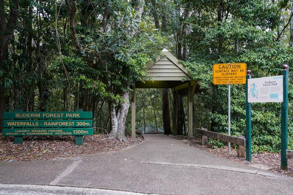 Buderim Forest Park