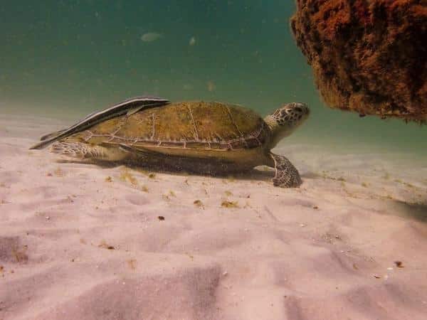 Navarre Beach for Romantic Getaways