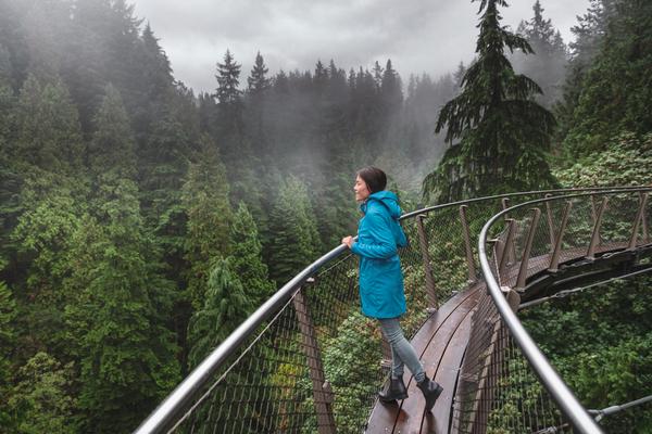 Capilano Suspension Bridge Park