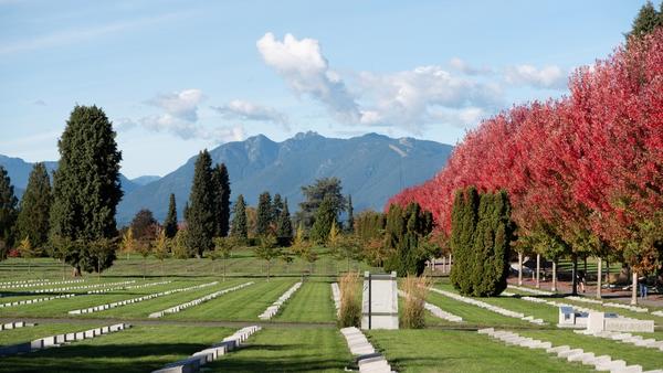 Mountain View Cemetery