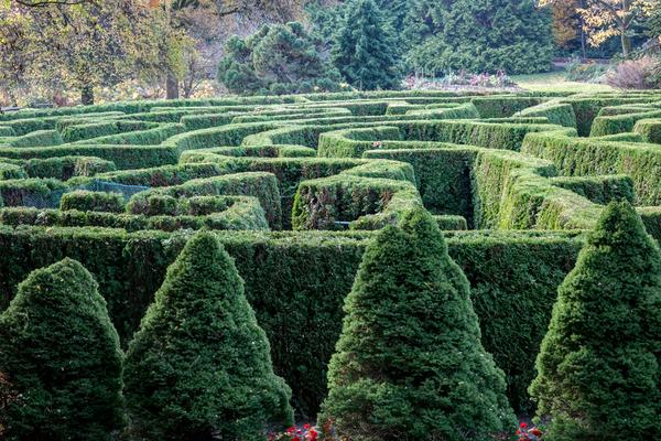 VanDusen Garden's Elizabethan Hedge Maze