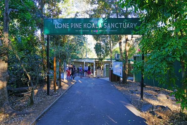 Lone Pine Koala Sanctuary