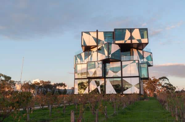 McLaren Vale for Outdoor Adventurers