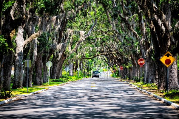 Magnolia Avenue