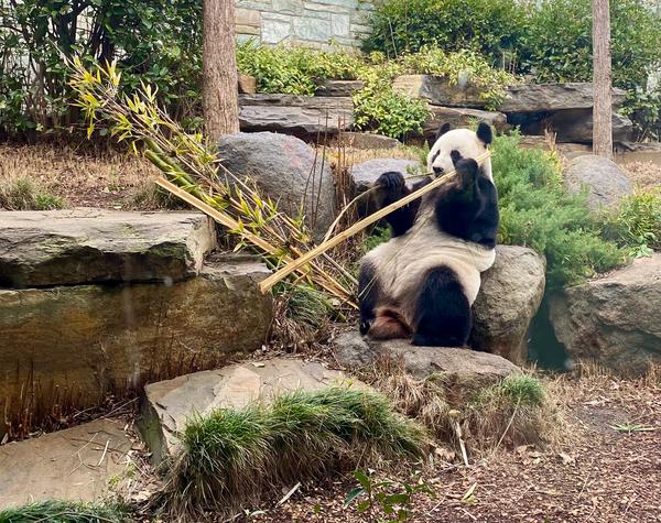 Adelaide Zoo