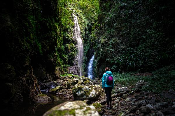 Take a Hike