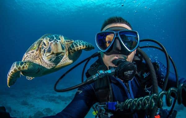 Enjoy an Underwater Adventure