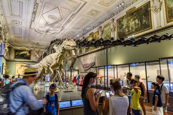 Vienna Natural History Museum