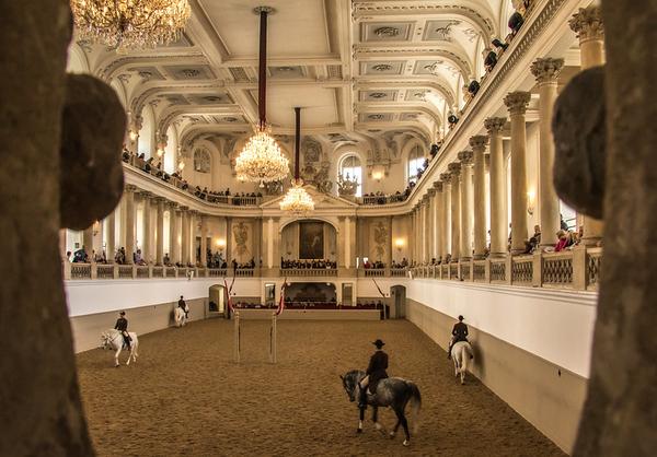 The Spanish Riding School
