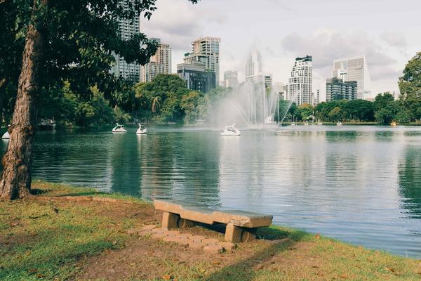 Relax in Lumpini Park