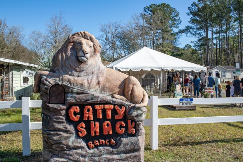 12 Can’t Miss Hidden Gems in Jacksonville, FL