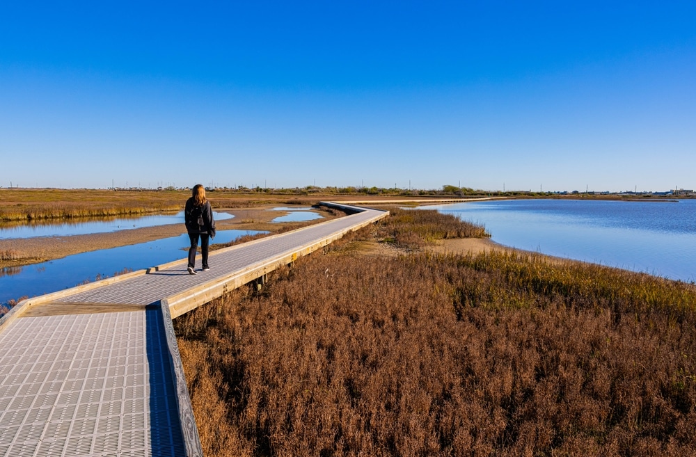 6 Can’t Miss Hidden Gems in Port Aransas