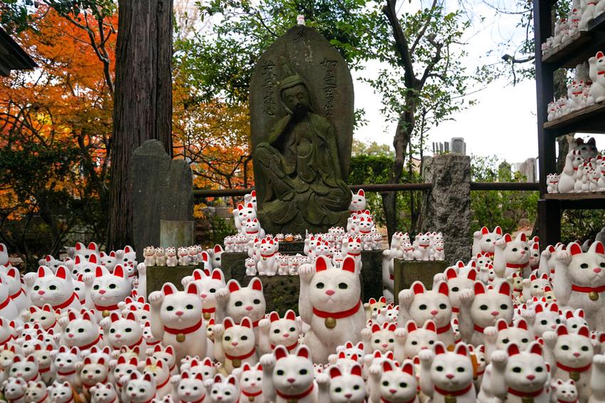 17 Can’t Miss Hidden Gems in Tokyo