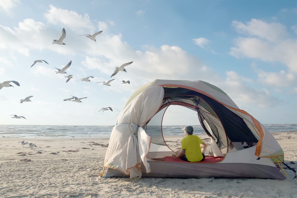 10 Best Things to Do in Port Aransas