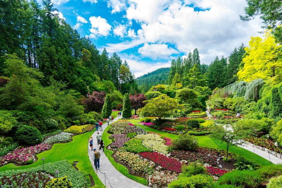 14 Best Things to Do in Victoria BC